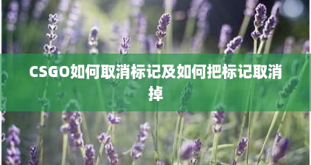 CSGO如何取消标记及如何把标记取消掉