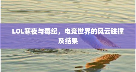LOL寒夜与毒纪，电竞世界的风云碰撞及结果
