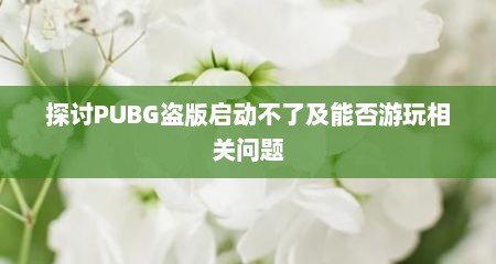 探讨PUBG盗版启动不了及能否游玩相关问题