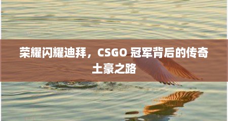荣耀闪耀迪拜，CSGO 冠军背后的传奇土豪之路