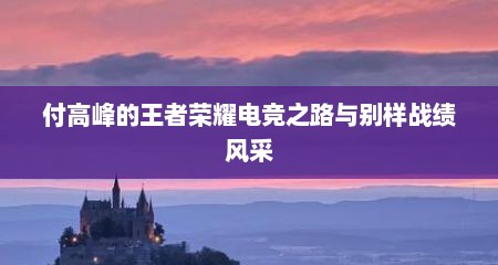 付高峰的王者荣耀电竞之路与别样战绩风采