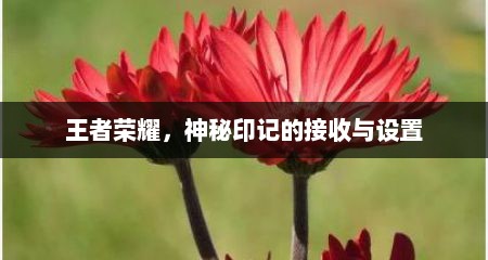 王者荣耀，神秘印记的接收与设置