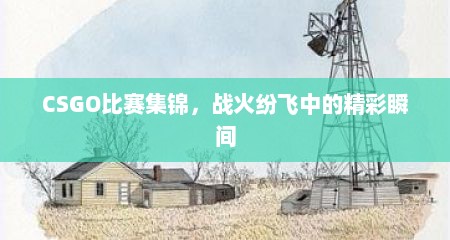 CSGO比赛集锦，战火纷飞中的精彩瞬间