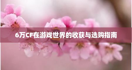 6万CF在游戏世界的收获与选购指南