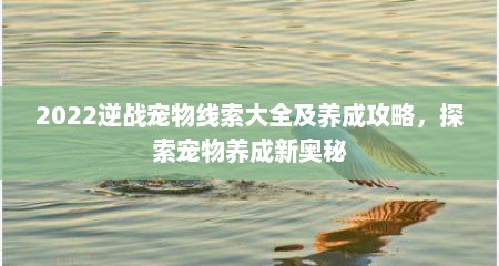 2022逆战宠物线索大全及养成攻略，探索宠物养成新奥秘