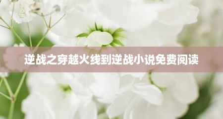 逆战之穿越火线到逆战小说免费阅读