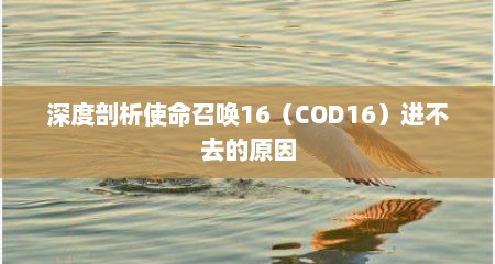 深度剖析使命召唤16（COD16）进不去的原因
