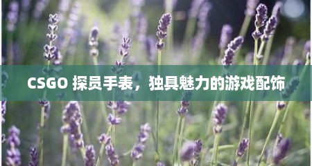 CSGO 探员手表，独具魅力的游戏配饰