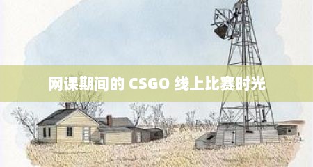 网课期间的 CSGO 线上比赛时光