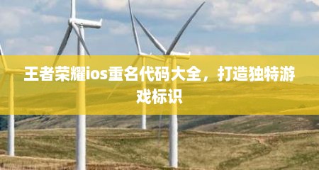 王者荣耀ios重名代码大全，打造独特游戏标识