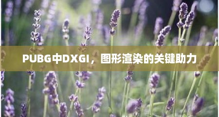 PUBG中DXGI，图形渲染的关键助力