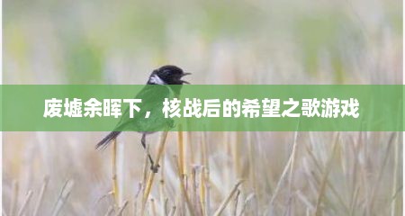 废墟余晖下，核战后的希望之歌游戏