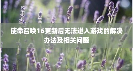 使命召唤16更新后无法进入游戏的解决办法及相关问题