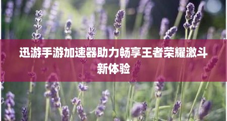 迅游手游加速器助力畅享王者荣耀激斗新体验