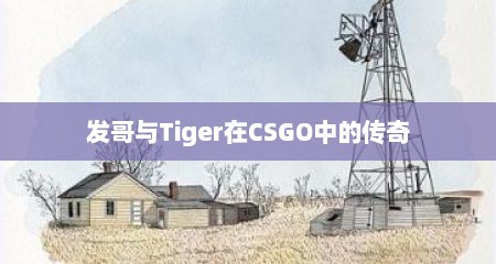 发哥与Tiger在CSGO中的传奇