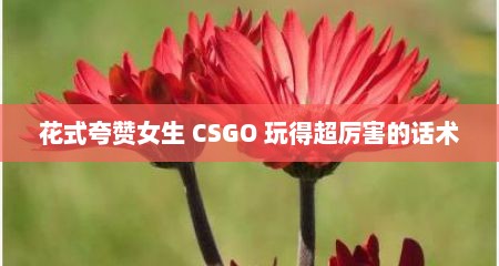 花式夸赞女生 CSGO 玩得超厉害的话术