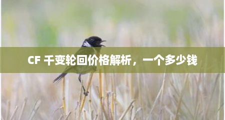 CF 千变轮回价格解析，一个多少钱