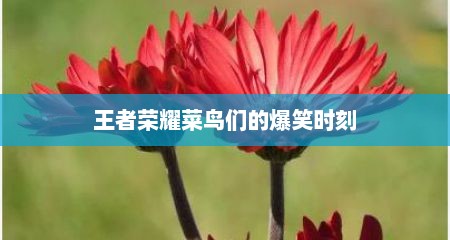 王者荣耀菜鸟们的爆笑时刻
