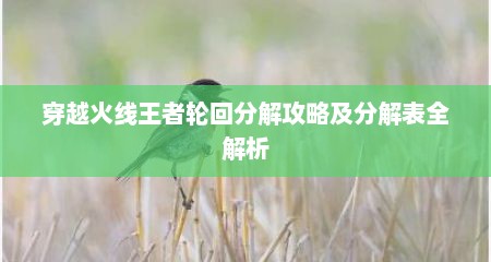 穿越火线王者轮回分解攻略及分解表全解析