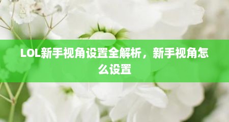 LOL新手视角设置全解析，新手视角怎么设置