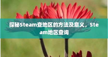 探秘Steam查地区的方法及意义，Steam地区查询