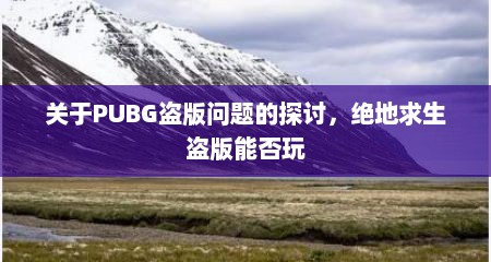 关于PUBG盗版问题的探讨，绝地求生盗版能否玩