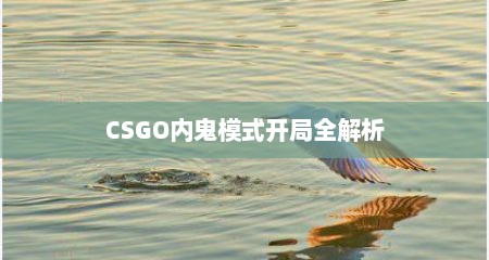 CSGO内鬼模式开局全解析