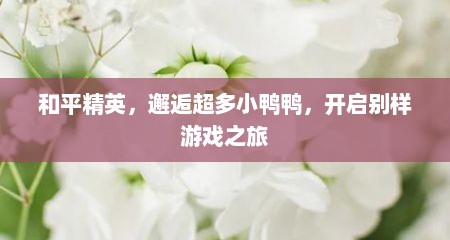 和平精英，邂逅超多小鸭鸭，开启别样游戏之旅