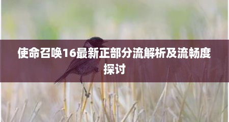 使命召唤16最新正部分流解析及流畅度探讨