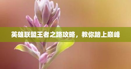 英雄联盟王者之路攻略，教你踏上巅峰