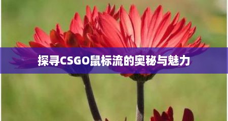 探寻CSGO鼠标流的奥秘与魅力