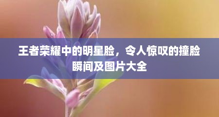 王者荣耀中的明星脸，令人惊叹的撞脸瞬间及图片大全