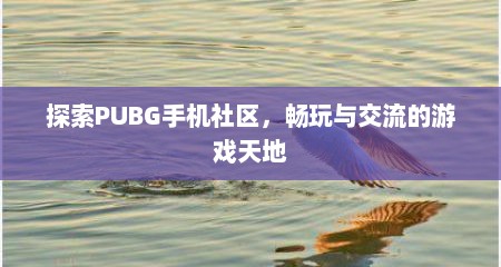 探索PUBG手机社区，畅玩与交流的游戏天地