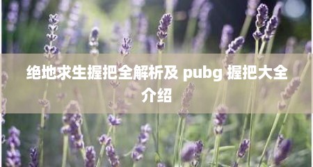 绝地求生握把全解析及 pubg 握把大全介绍