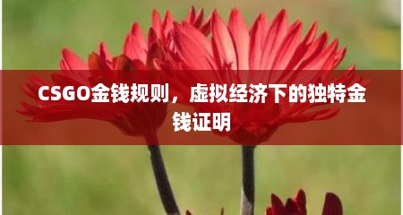 CSGO金钱规则，虚拟经济下的独特金钱证明