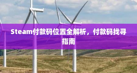 Steam付款码位置全解析，付款码找寻指南