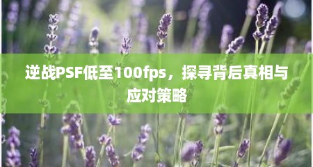 逆战PSF低至100fps，探寻背后真相与应对策略