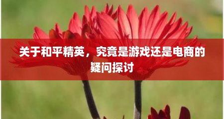 关于和平精英，究竟是游戏还是电商的疑问探讨