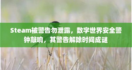 Steam被警告勿泄露，数字世界安全警钟敲响，其警告解除时间成谜