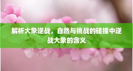 解析大象逆战，自然与挑战的碰撞中逆战大象的含义