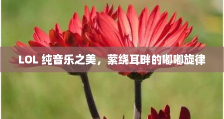 LOL 纯音乐之美，萦绕耳畔的嘟嘟旋律