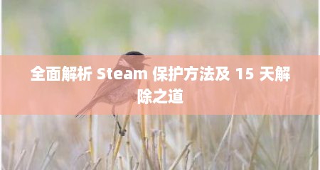 全面解析 Steam 保护方法及 15 天解除之道