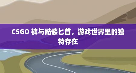 CSGO 裤与骷髅匕首，游戏世界里的独特存在