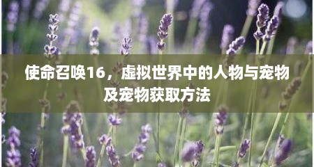 使命召唤16，虚拟世界中的人物与宠物及宠物获取方法