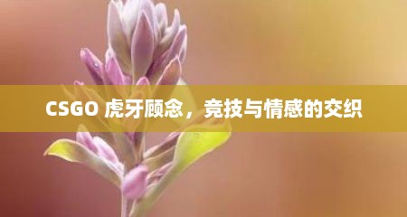 CSGO 虎牙顾念，竞技与情感的交织