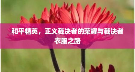 和平精英，正义裁决者的荣耀与裁决者衣服之路