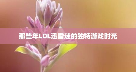 那些年LOL迅雷迷的独特游戏时光