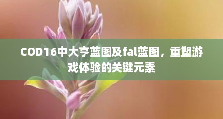 COD16中大亨蓝图及fal蓝图，重塑游戏体验的关键元素