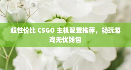 超性价比 CSGO 主机配置推荐，畅玩游戏无忧钱包