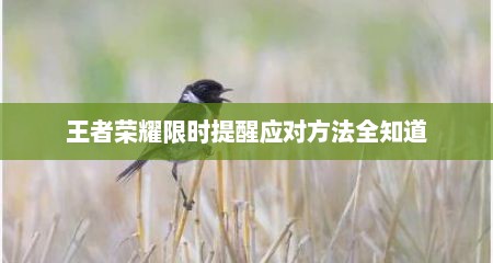 王者荣耀限时提醒应对方法全知道
